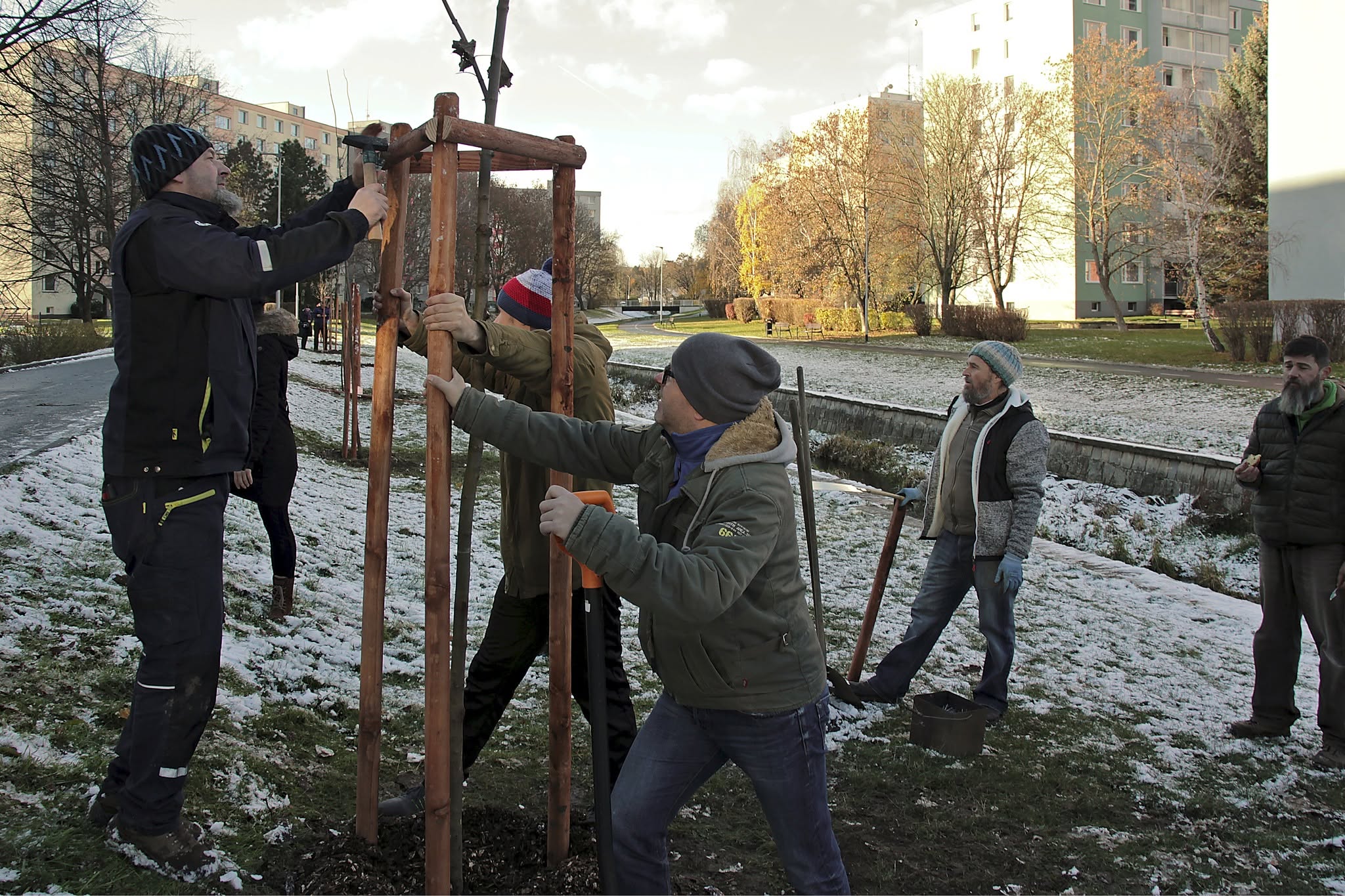 Péče o nově vysazený strom